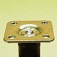 Caster top plate